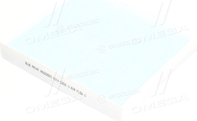 Blue Print ADG02593