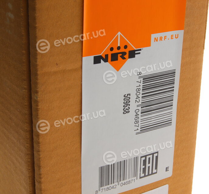 NRF 509638