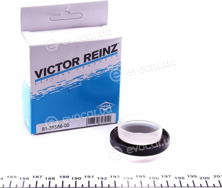 Victor Reinz 81-35556-00