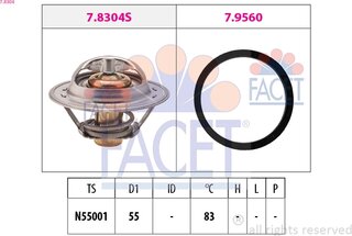 Facet 7.8304