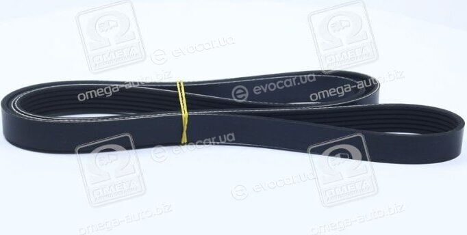 Dayco 6PK1890