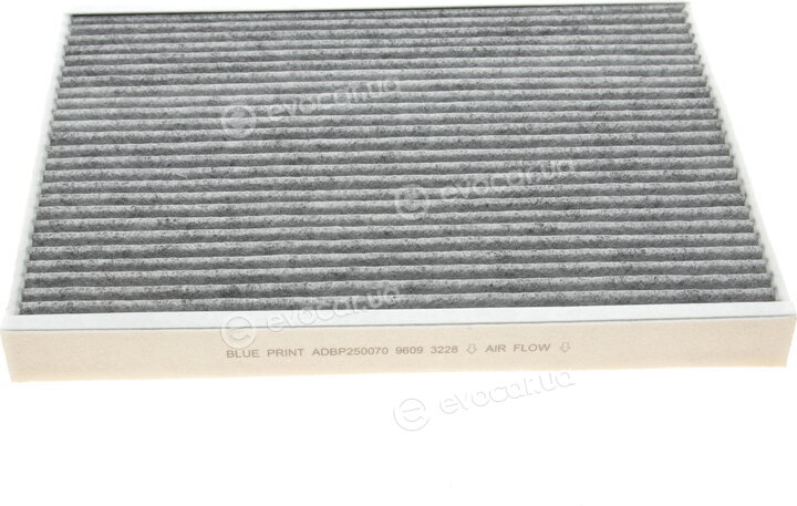 Blue Print ADBP250070