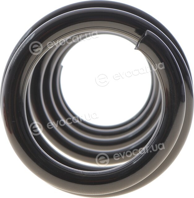 Solgy 212141