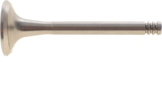 AMP PAUD024-A-0-N