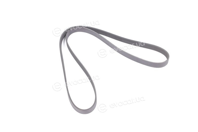 Gates 6PK1555