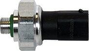 Asam 98613