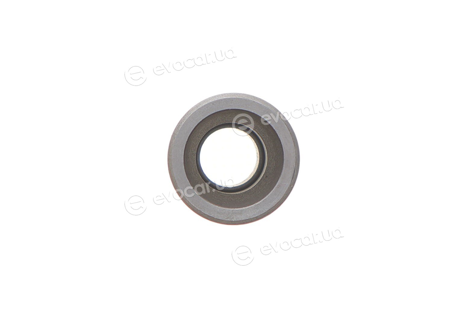 Mahle 011 PI 00105 002