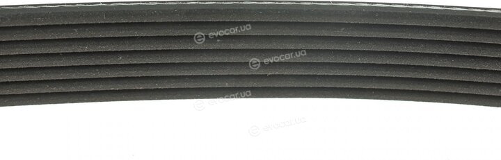 Dayco 7PK2872