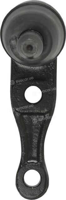 Blue Print ADG08629