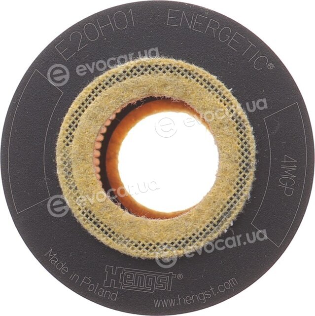 Hengst E20H01 D293