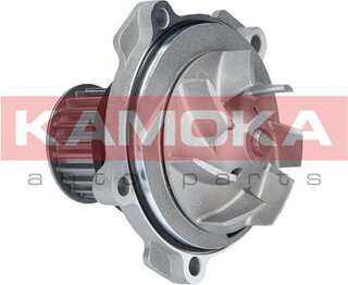 Kamoka T0077