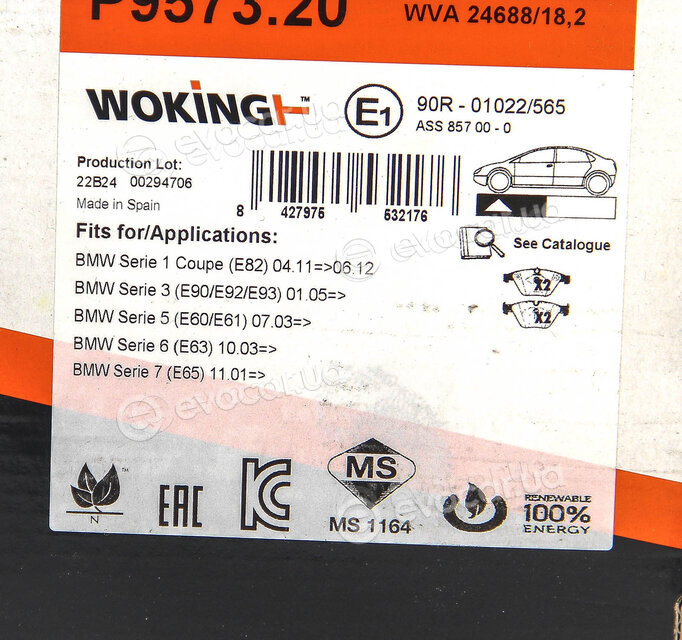 Woking P9573.20