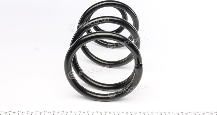 Lesjofors 4027640