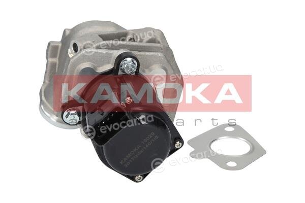 Kamoka 19029