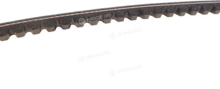 Dayco 10A0975C