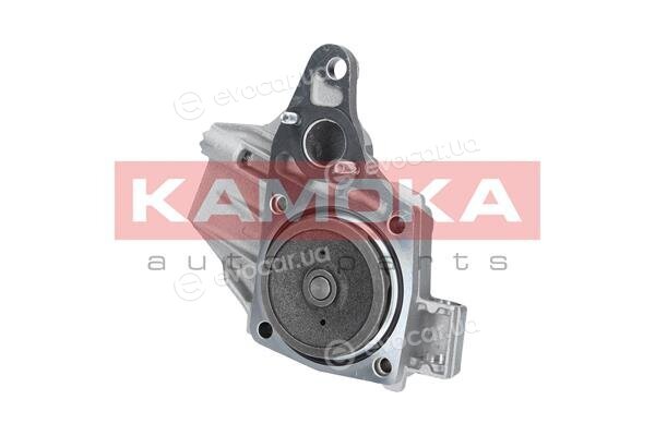 Kamoka T0239