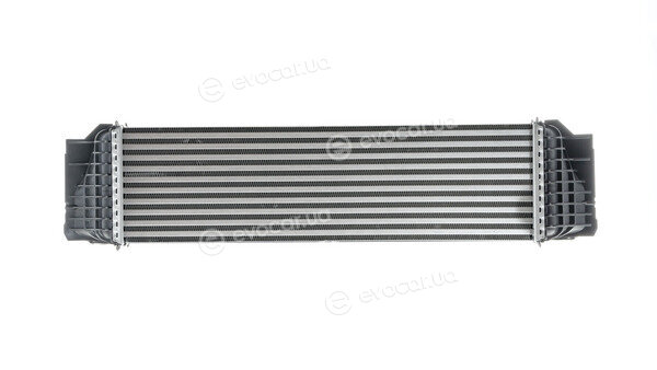 Mahle CI 184 000P