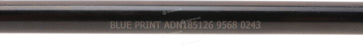 Blue Print ADN185126
