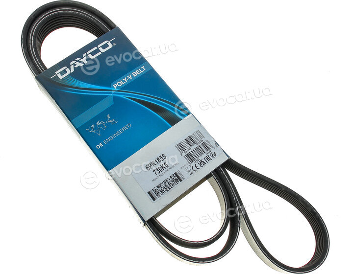 Dayco 6PK1855