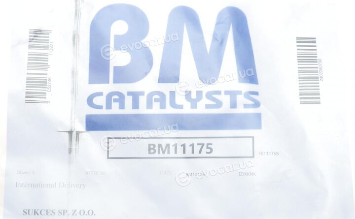 BM Catalysts BM11175