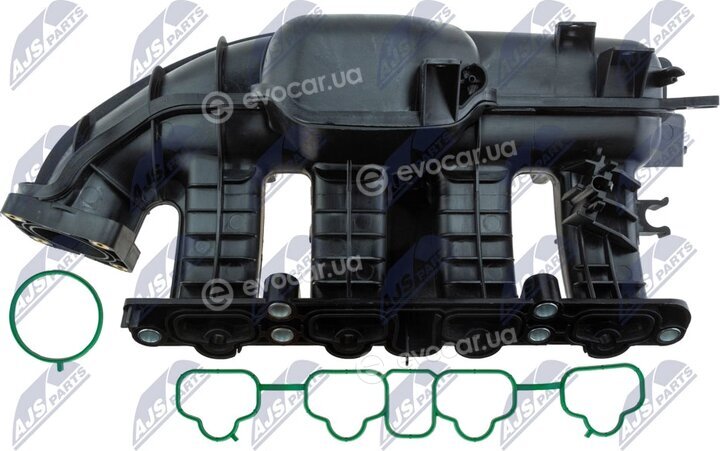NTY BKS-PL-012
