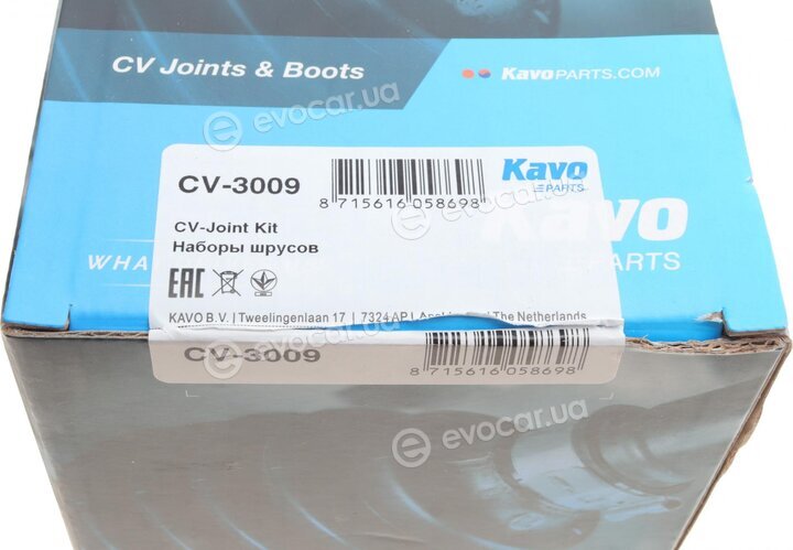 Kavo CV-3009