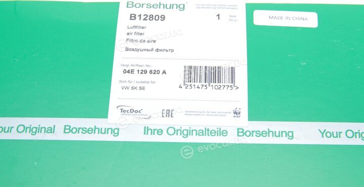 Borsehung B12809