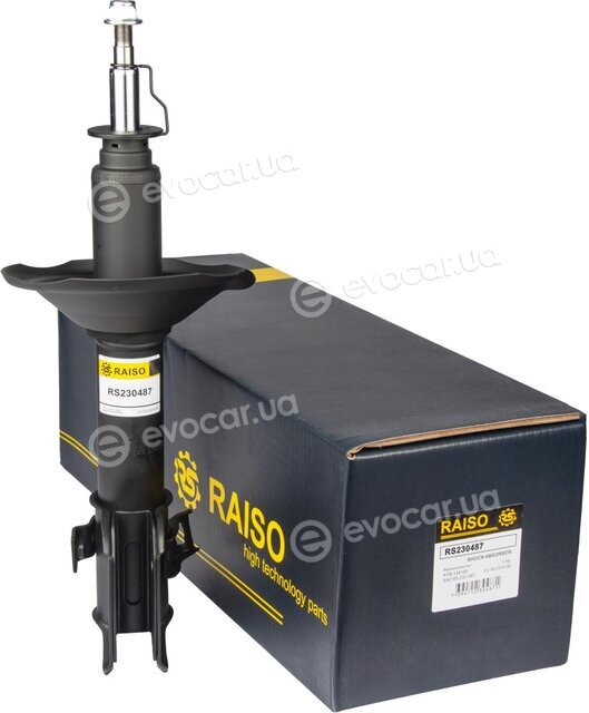Raiso RS230487