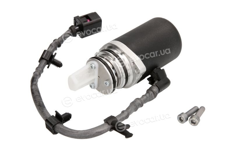 BorgWarner DS118613