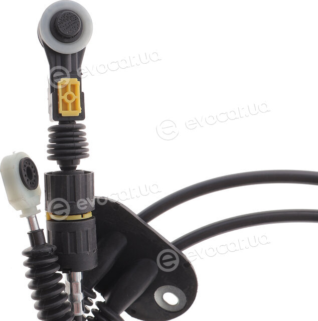 DP CP 42401 BNS