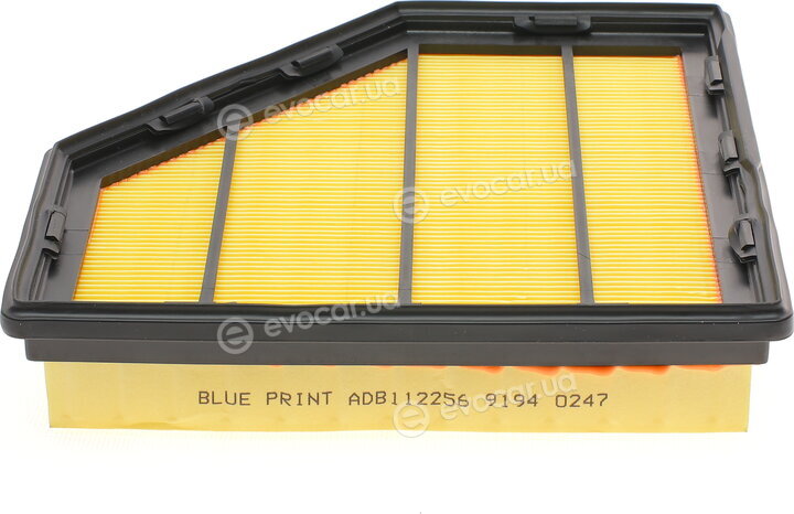 Blue Print ADB112256
