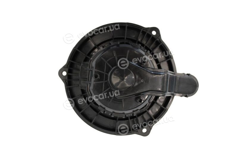 Walker / Fonos WBL01056