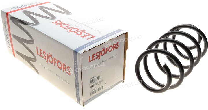 Lesjofors 4055471