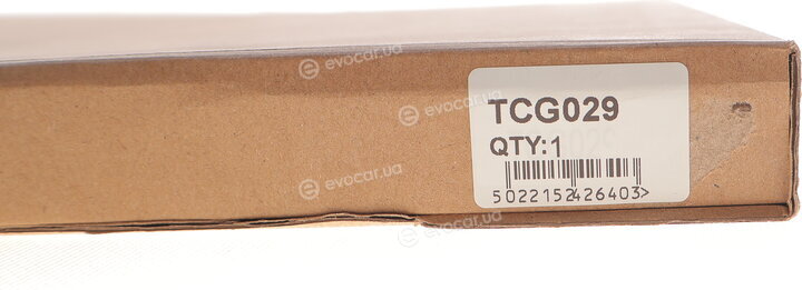 Motive TCG029