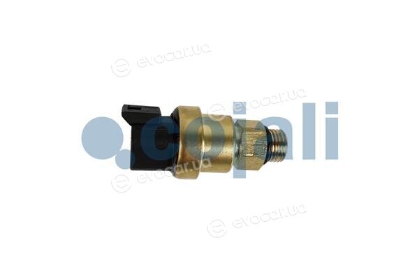Cojali 2263024