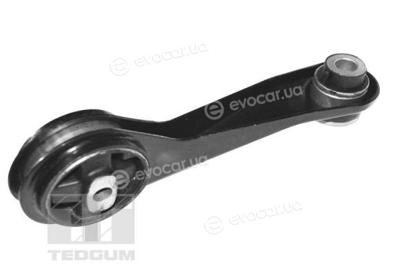 Tedgum TED84313