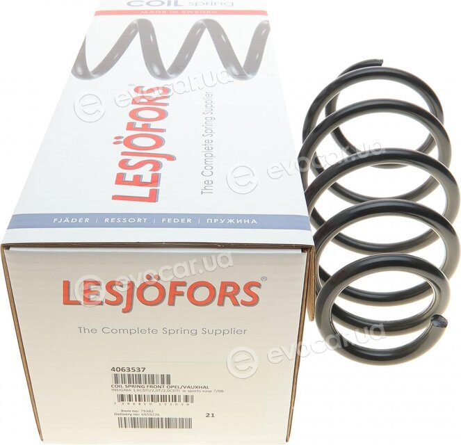 Lesjofors 4063537