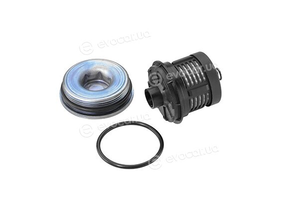 BorgWarner DS120456