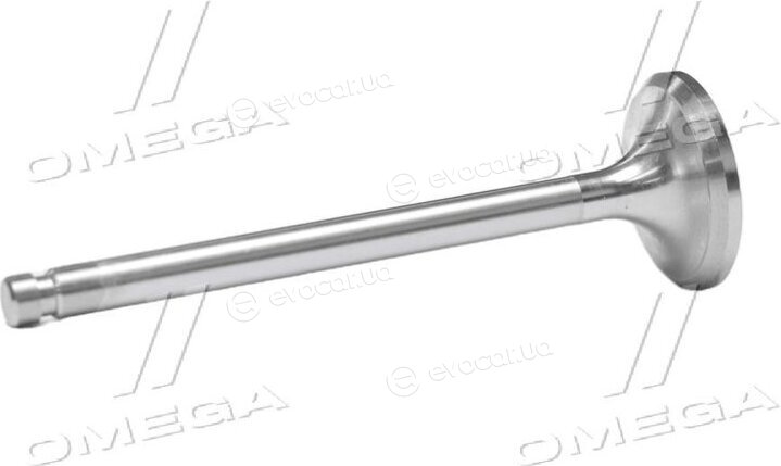 Gunes 3941