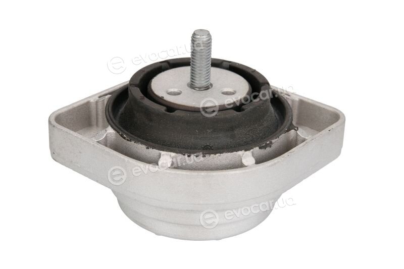 Reinhoch RH11-3062