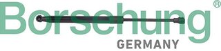 Borsehung B13095