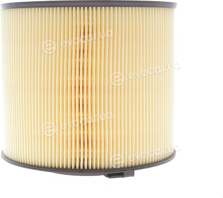 Solgy 103160