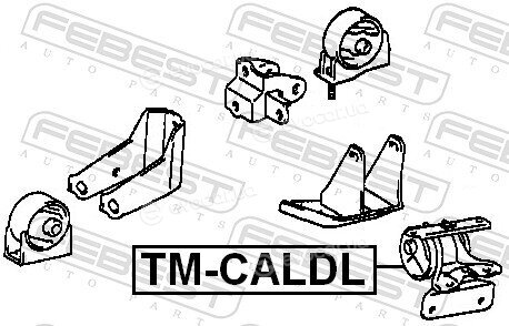 Febest TM-CALDL