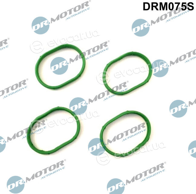 Dr. Motor DRM075S