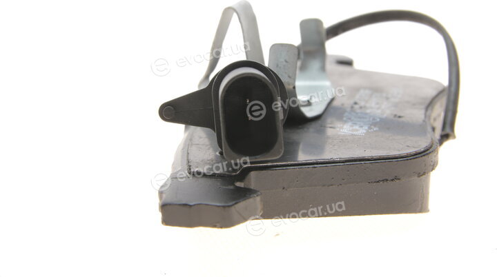 Icer 181531