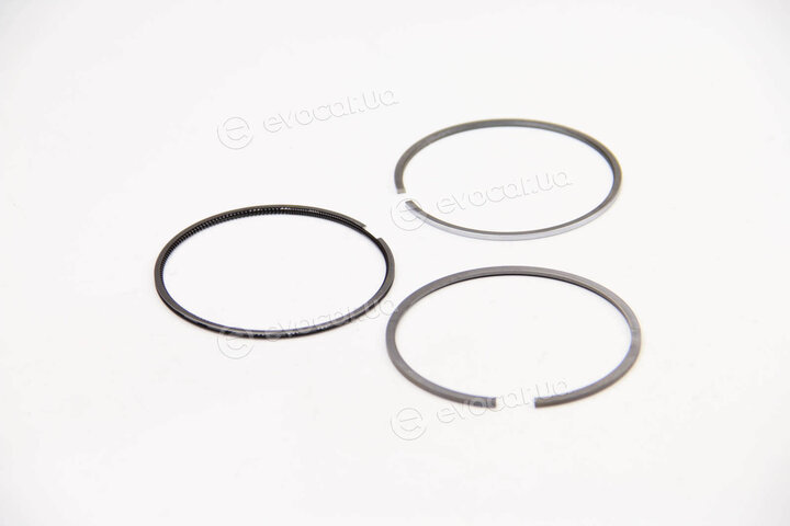 Mahle 022 01 N2