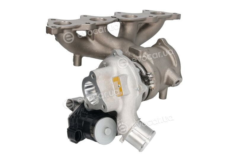 BorgWarner 16389880018