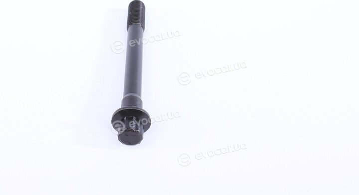 Victor Reinz 14-55002-01