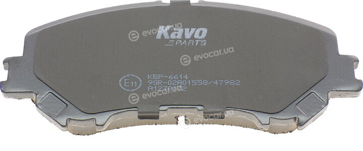 Kavo KBP-6614