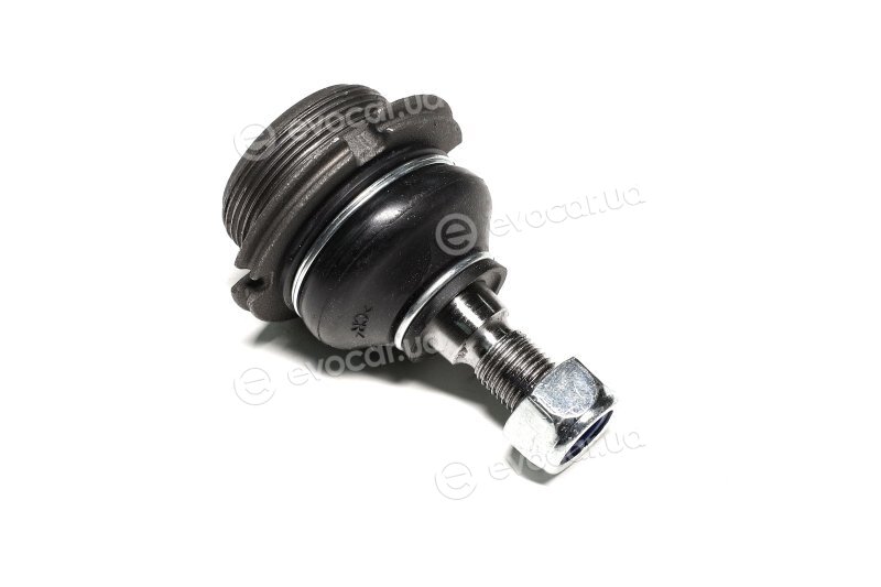 Sasic 6403213